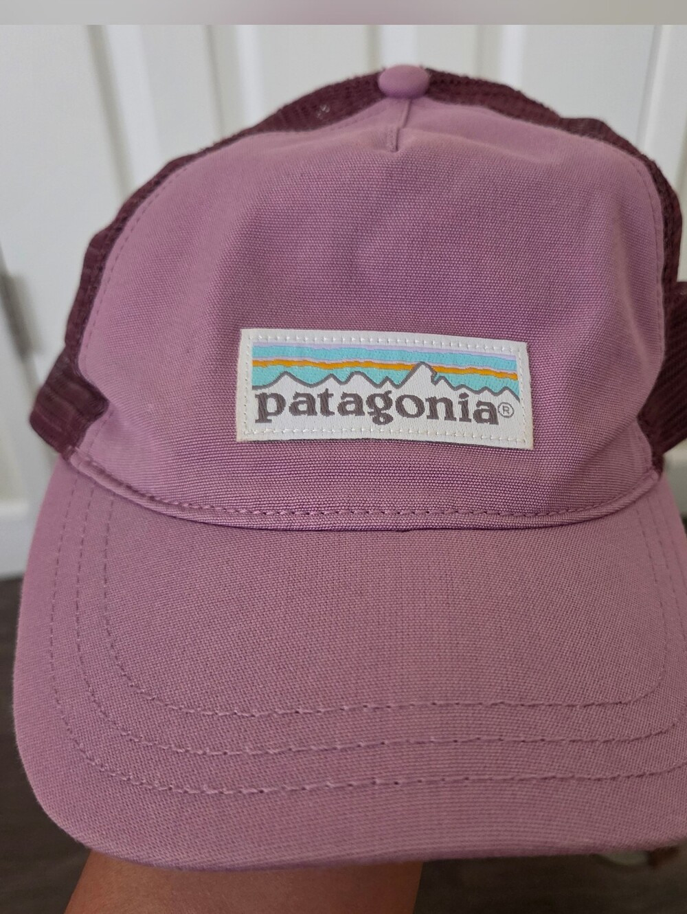 Patagonia P-6 Label Layback Trucker Hat